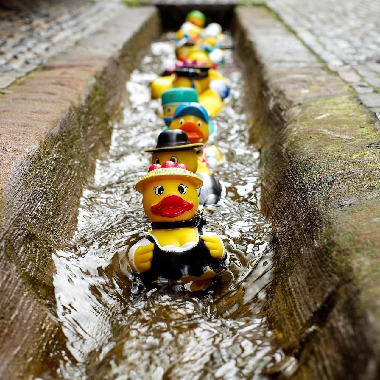 Toy duck in the canal